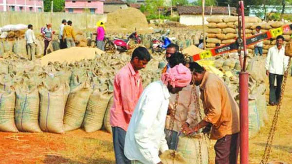 महासमुंद के 73 किसानों को मिलेगा इंसाफ, अफसर अब लौटाएंगे 175 क्विंटल धान