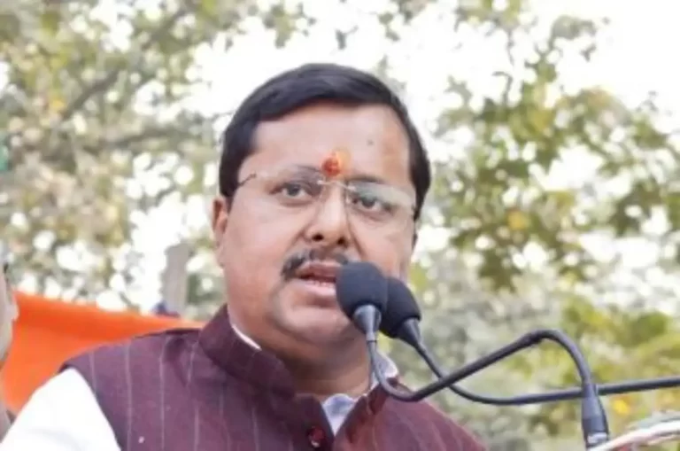 भाजपा ने नितिन नबीन को बनाया पार्टी का राष्ट्रीय कार्यकारी अध्यक्ष