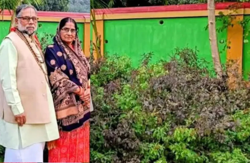 कब है तुलसी जयंती, कैसे करें पूजन, अनिरुद्ध रामानुज दास ने सुनाई पूरी कथा