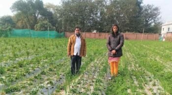 प्रतापगढ़ में स्ट्रॉबेरी की खेती से लखपति होंगे किसान