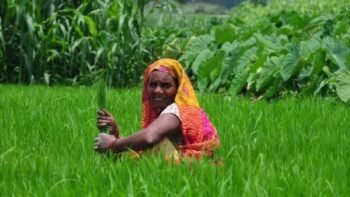 भारत को अपना आधुनिक कृषि मॉडल बदलना होगा