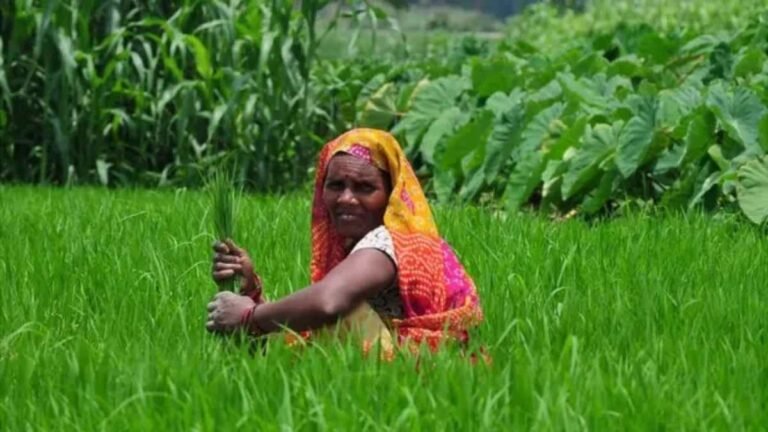 भारत को अपना आधुनिक कृषि मॉडल बदलना होगा