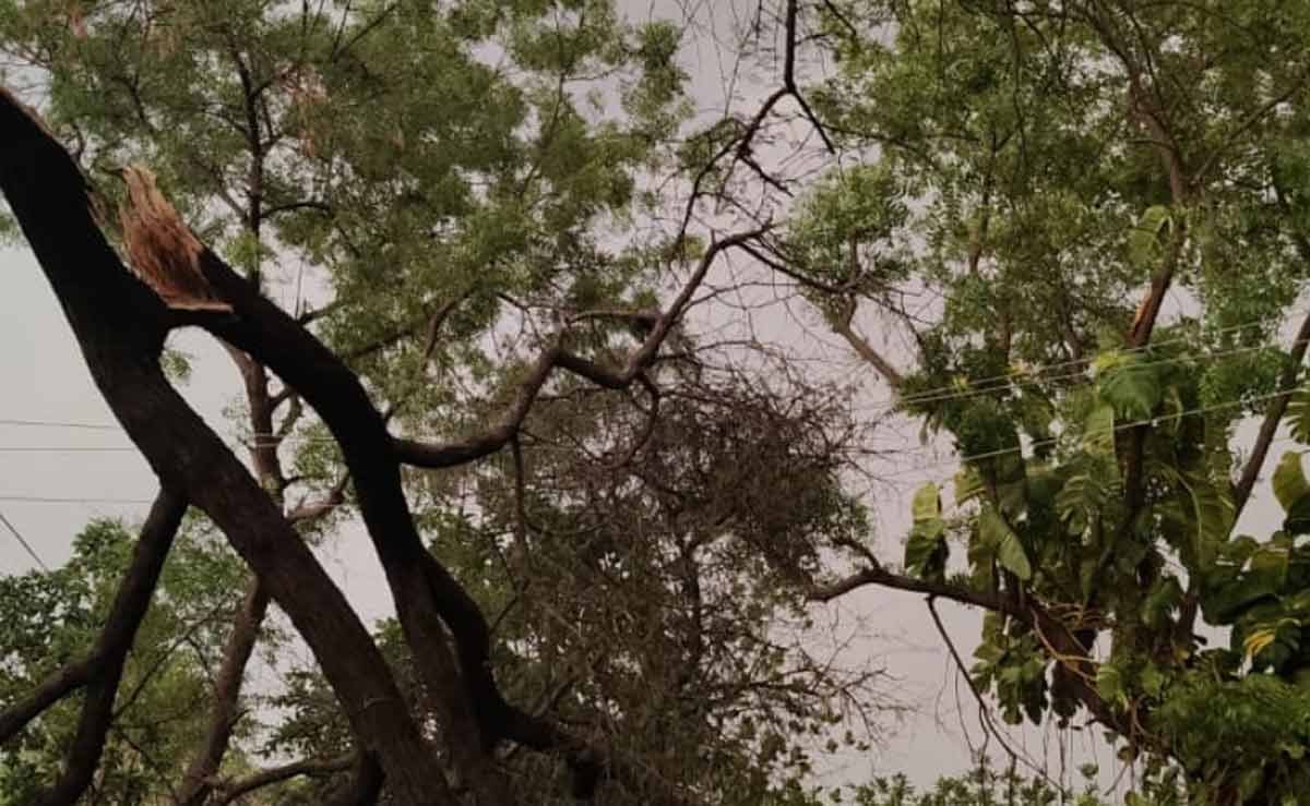 प्रतापगढ़ समेत पूरे उत्तर प्रदेश में चक्रवाती तूफान का कहर