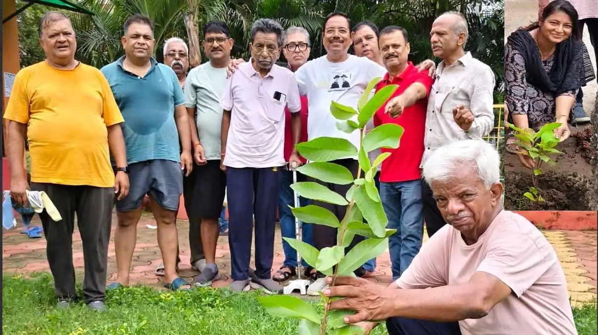 लगाए औषधीय महत्व के पौधे