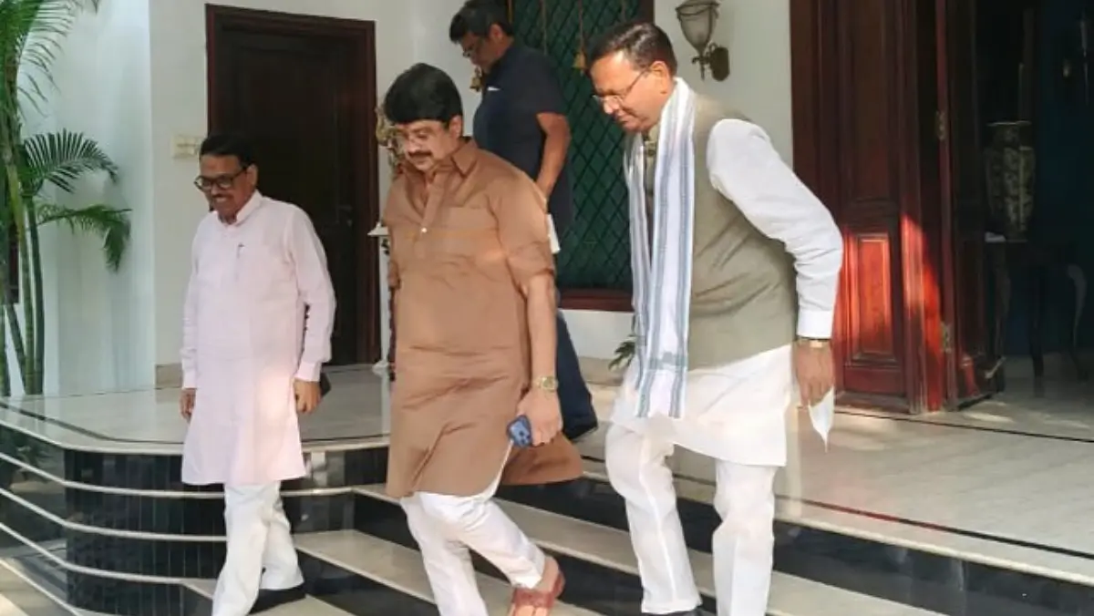 राजा भैया