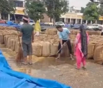 आत्मनिर्भर भारत बनाने के लिए खाद्यान्न की सुरक्षा जरुरी